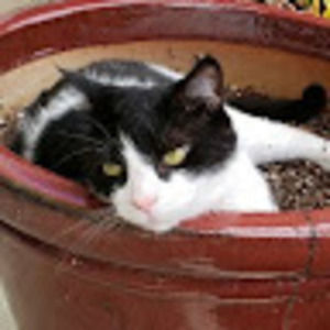 Meet your Posher, Nameshard